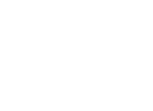 logowit logowit